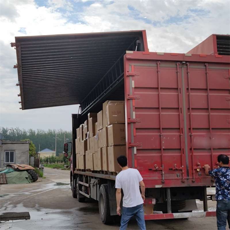 邗江区扎囊县：物流专线的高效货运之旅